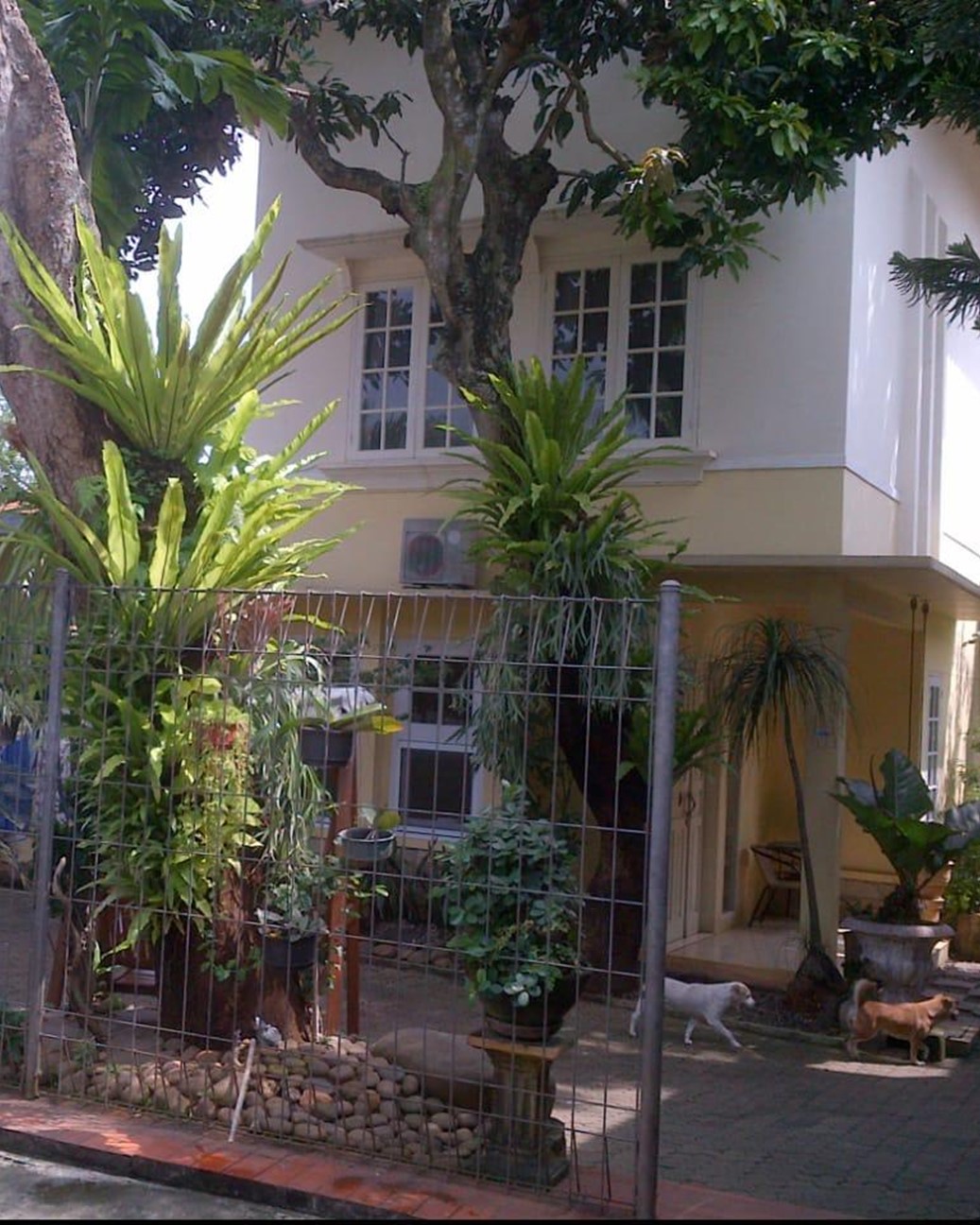 Dijual Rumah Lama Hitung Tanah di Kebagusan, Luas tanah 2100 m2