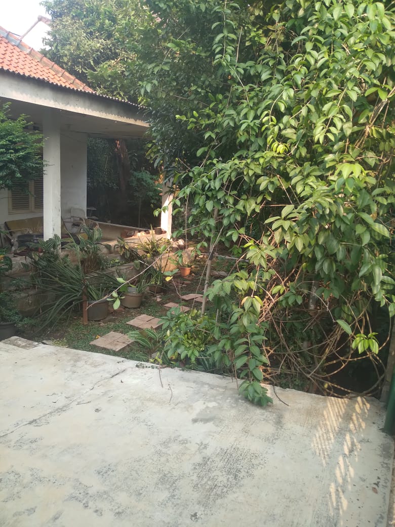 Dijual Rumah Lama Area Wijaya Kebayoran Baru, Rumah 1 Lantai, Butuh Renovasi