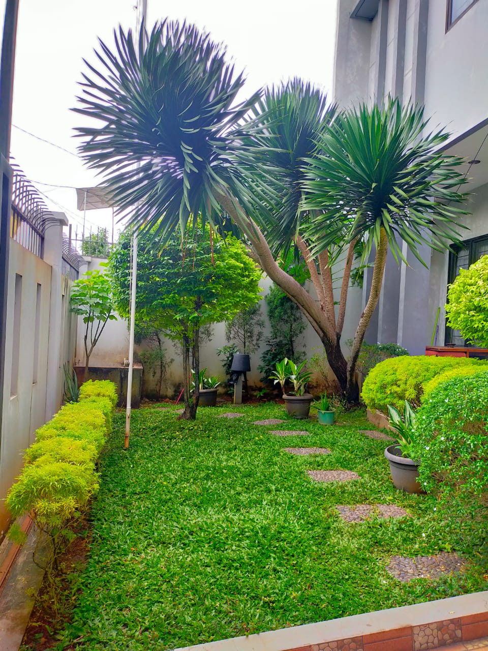 Rumah Dijual di Cipete, Bentuk Tanah Kotak, Ada Kolam Ikan, Master Bedroom Diatas