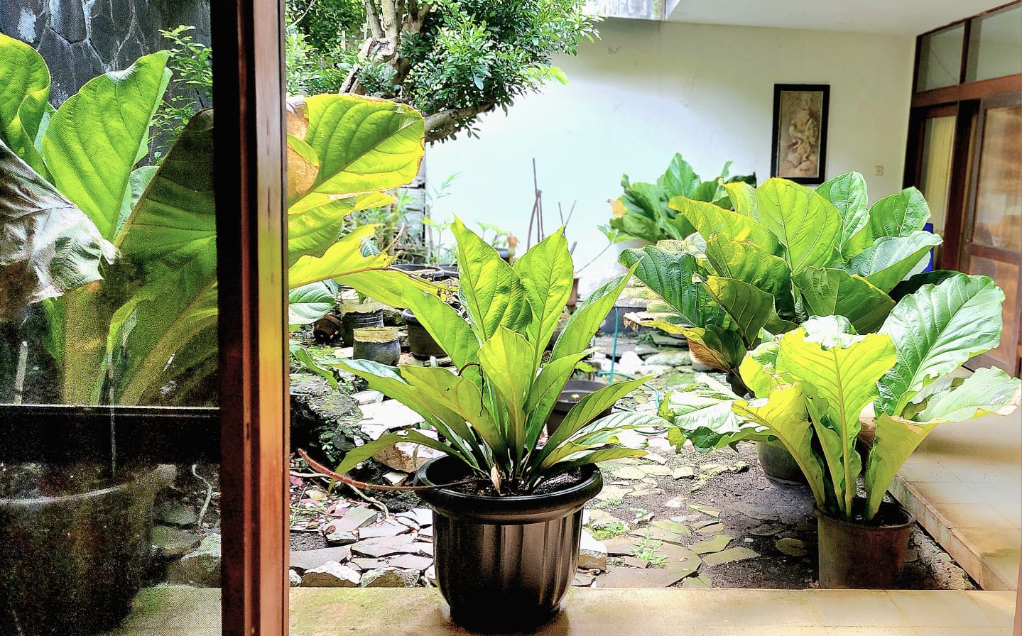 Rumah 1 Lantai Dijual di Bogor, Posisi Huk