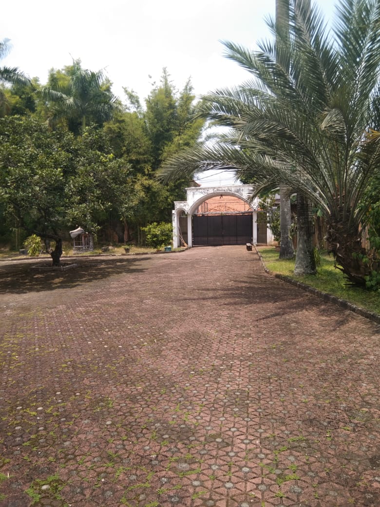 Ada 2 Bangunan, Bangunan Utama dan Guesthouse, Tanah Luas