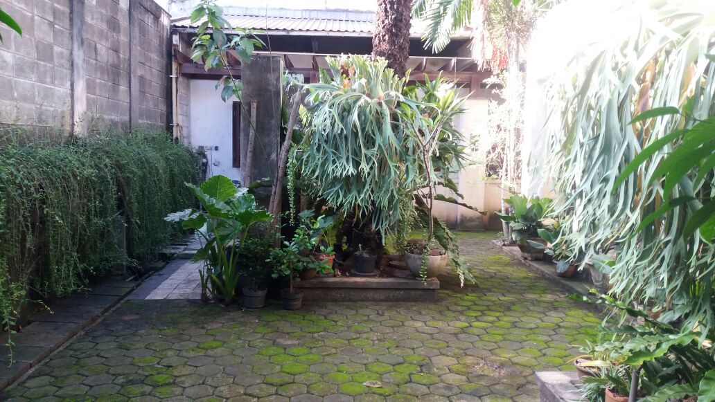 Ada 2 Bangunan. Bangunan Utama dan Paviliun, Ada Taman. KT Pembantuu Terpisah