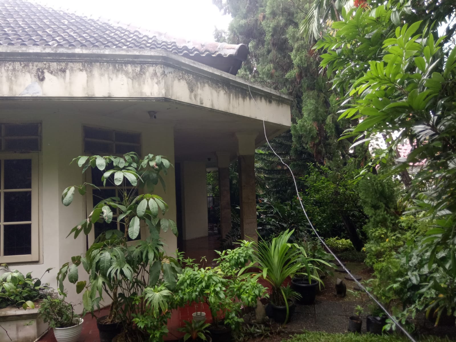 Rumah Lama 2 Lantai di Menteng, Zona Bisnis, Hoek